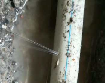 鸡东卫生间测漏水多少钱